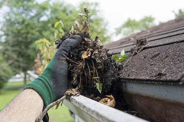 common signs of clogged gutters include water spilling over the edges, plant growth in the gutters, and water damage to the exterior of the property